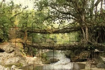 Cherrapunji. India