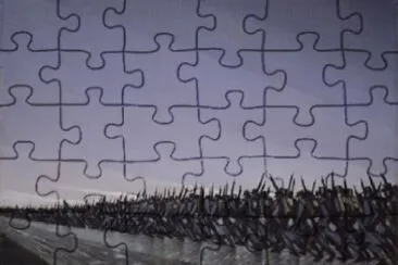 52 jigsaw puzzle