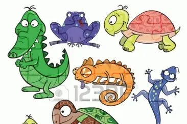 lagarto jigsaw puzzle