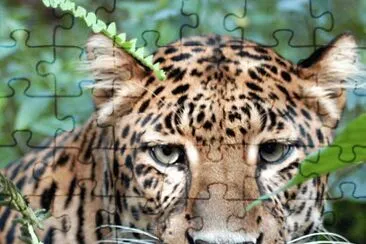. jigsaw puzzle