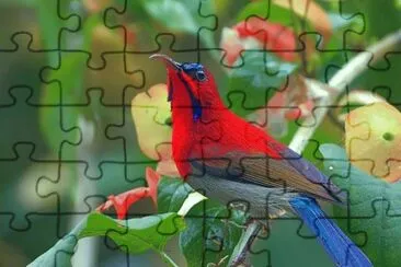 . jigsaw puzzle