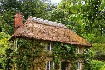 202 jigsaw puzzle