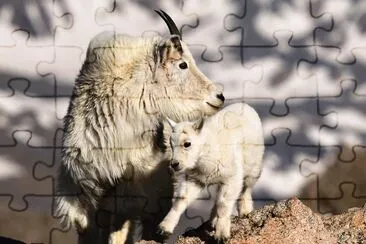 פאזל של mom#177