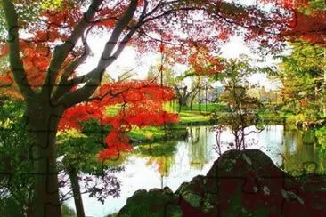 lindo, 