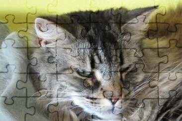 Assia jigsaw puzzle