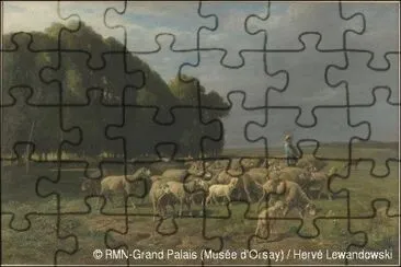 51 jigsaw puzzle
