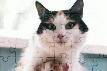 mom#178 jigsaw puzzle