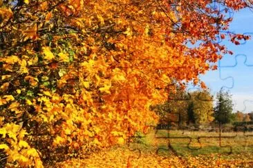automne