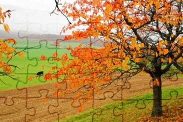automne