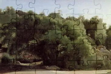 פאזל של 237