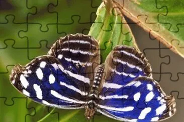 . jigsaw puzzle