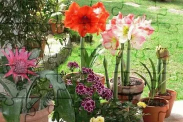 flores jigsaw puzzle