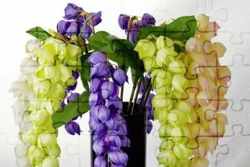 פאזל של flor