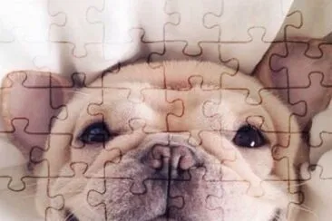 Hola jigsaw puzzle