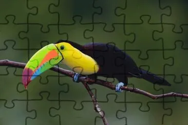 tucÃ¡n jigsaw puzzle
