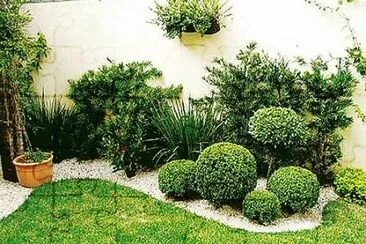 jardin jigsaw puzzle