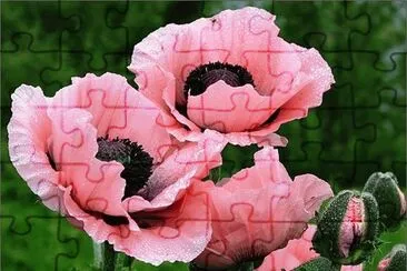 summer-89 jigsaw puzzle