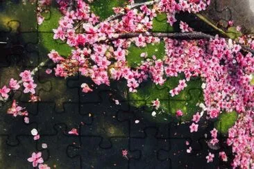è½è‹±ç¹½ç´› jigsaw puzzle