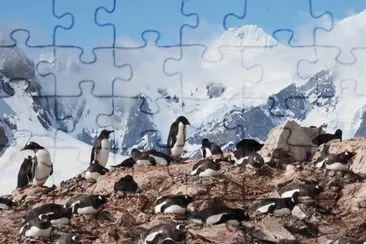 En la AntÃ¡rtida Argentina jigsaw puzzle