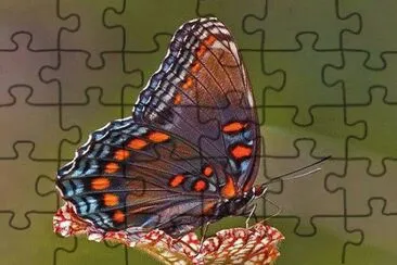 . jigsaw puzzle