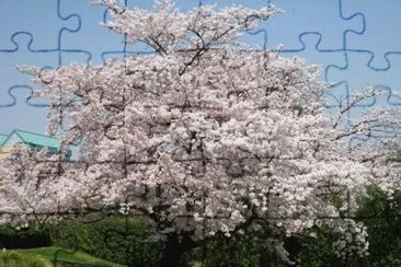 Natureza