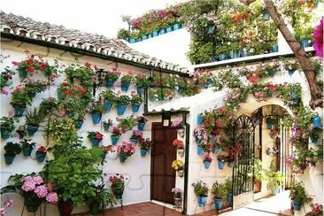 patio Andaluz