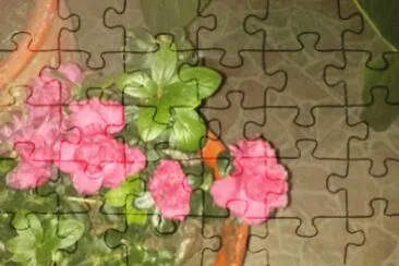 jardin jigsaw puzzle