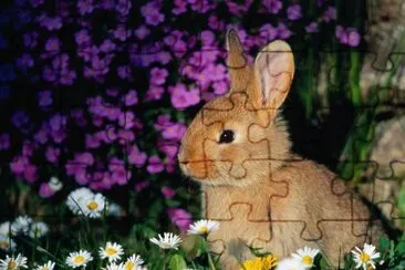 conejo en las flores jigsaw puzzle