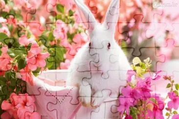 conejita blanca jigsaw puzzle