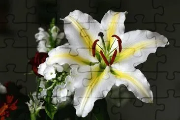lys jigsaw puzzle