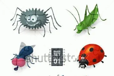 bichos