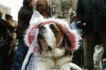 paseando