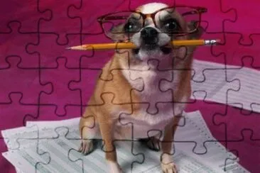 perro con lapiz