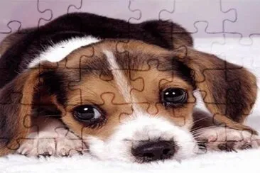tierno