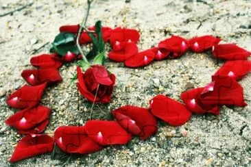 corazon con petalos de rosas jigsaw puzzle