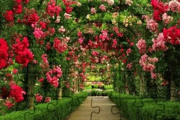 jardin floral