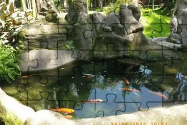 פאזל של Lago com Carpas