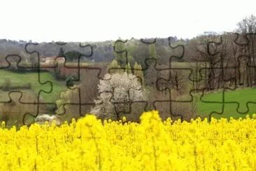 Natureza