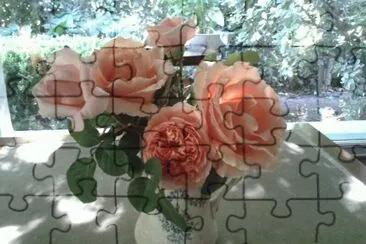 FLORES