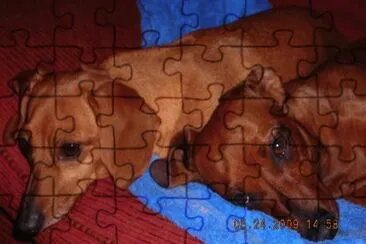 Clarita e Igor