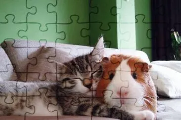tiernos jigsaw puzzle