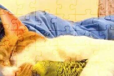 פאזל של descansando con amiguito