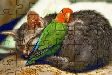 gatito con loro jigsaw puzzle
