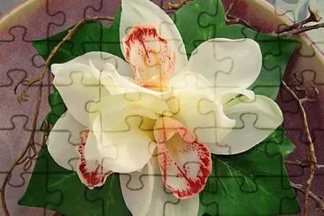 azucena blanca