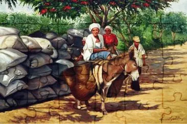 roÃ§a jigsaw puzzle