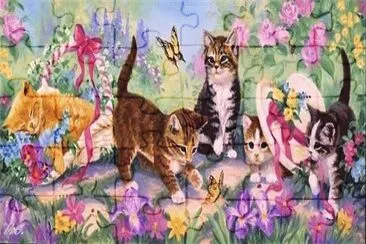 gatos