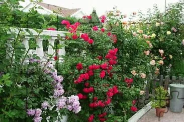 jardin15 jigsaw puzzle