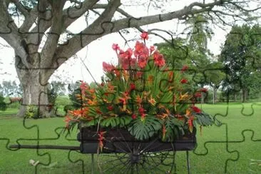 carreta con flores 4
