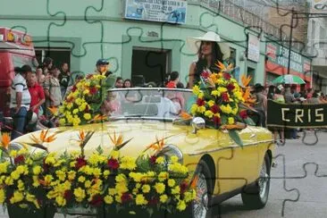 imagen auto adornado con flores