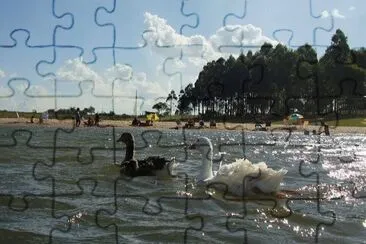 El ParanÃ¡ en ItuzaingÃ³. Corrientes. Argentina jigsaw puzzle